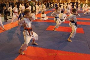 2015.12.13 Рождественский турнир по каратэ WKF