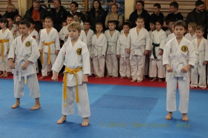 2014.02.09 Первенство Фрунзенского района по каратэ WKC